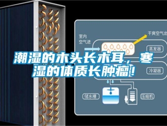 企業新聞潮濕的木頭長木耳，寒濕的體質長腫瘤！