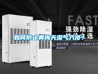 常見問題如何防止黃梅天濕氣入侵？