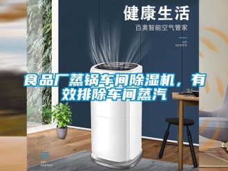 企業新聞食品廠蒸鍋車間除濕機，有效排除車間蒸汽