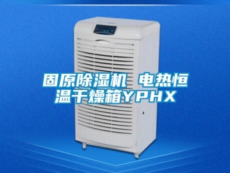 知識百科固原除濕機 電熱恒溫干燥箱YPHX