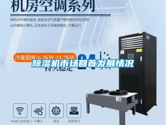 企業新聞除濕機市場回首發展情況