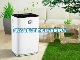 常見問題武漢高低溫試驗箱現貨供應