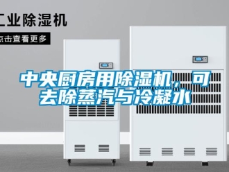 知識百科中央廚房用除濕機，可去除蒸汽與冷凝水