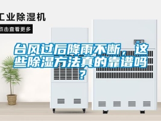 企業新聞臺風過后降雨不斷，這些除濕方法真的靠譜嗎？
